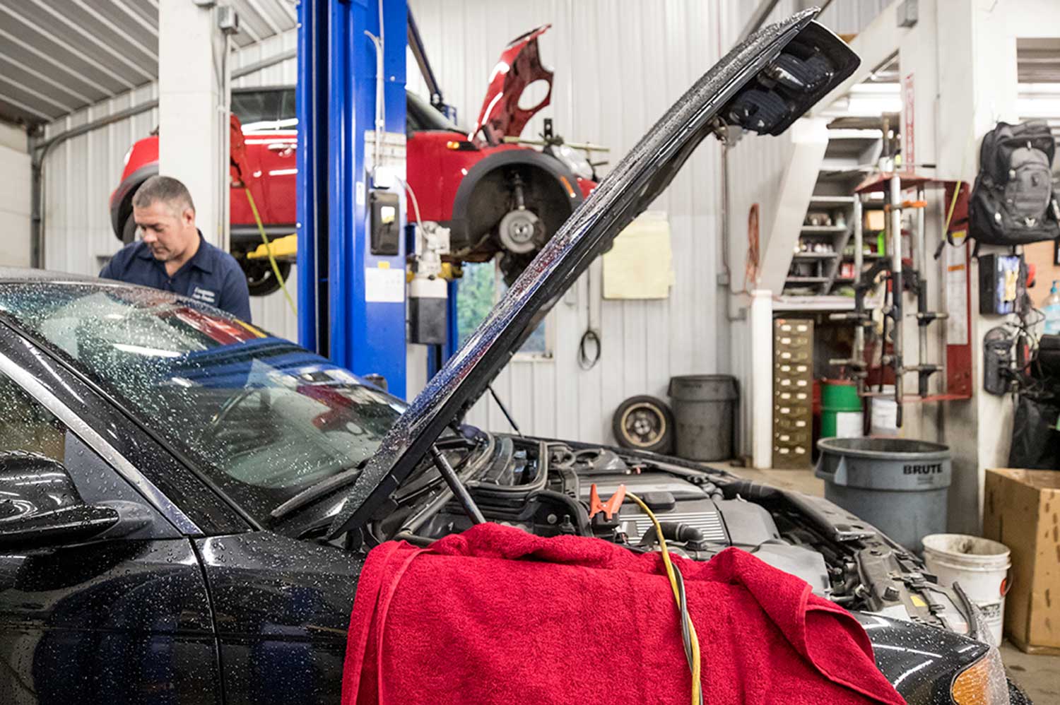 Forest working on a BMW